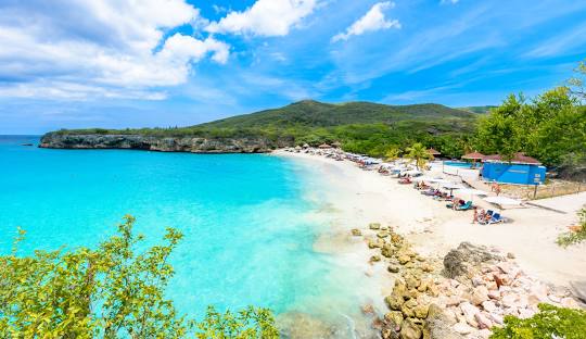 Home 11 jamaica