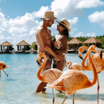 Top 5 Best Resorts in the Caribbean