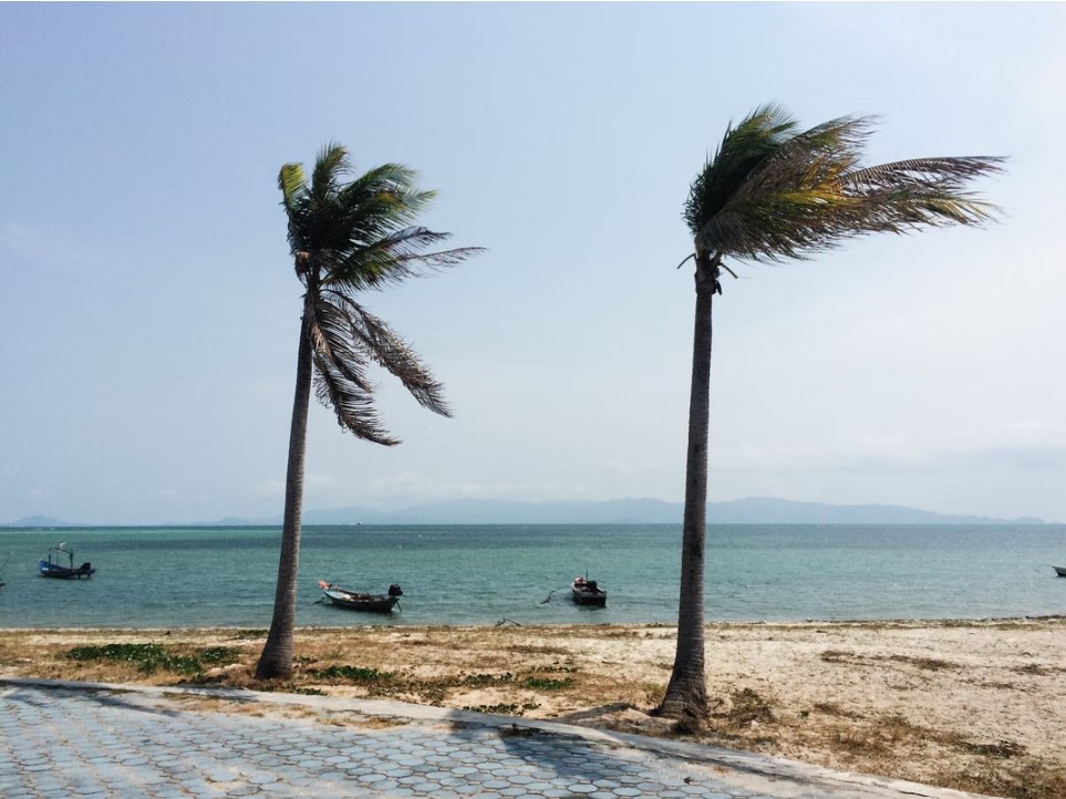 About the Hurricane Season in the Caribbean in 2022