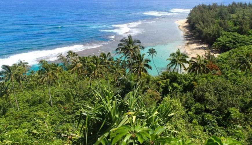 Earth Day 2021, Travel To The Eco-Tourism Destinations In The Caribbean