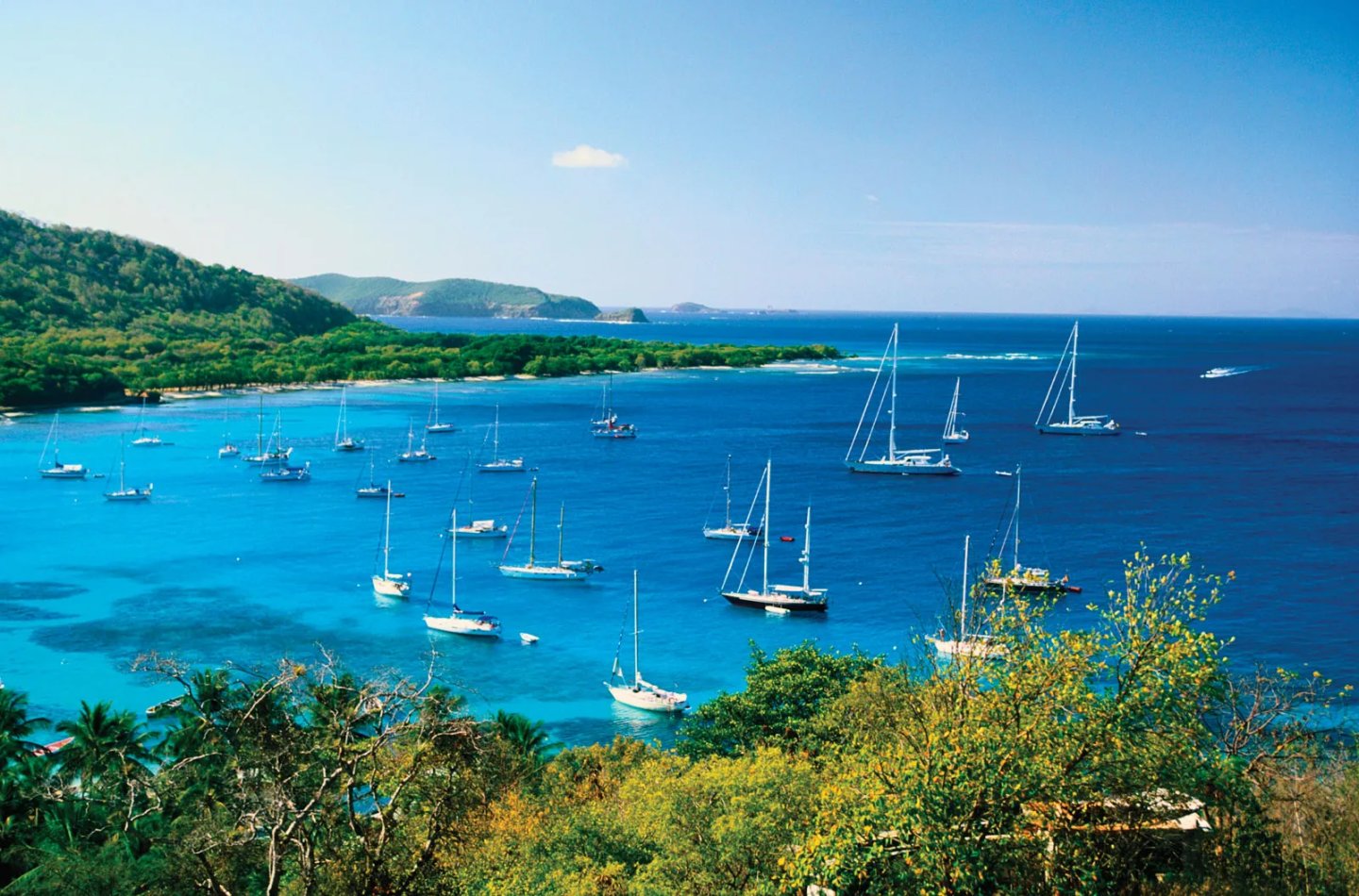 St. Vincent & Grenadines