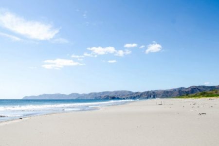 THE 5 BEST Things to Do in Martinique -2024
