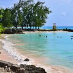 amazing things to do in Barbados