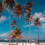 Best places to visit in Bavaro