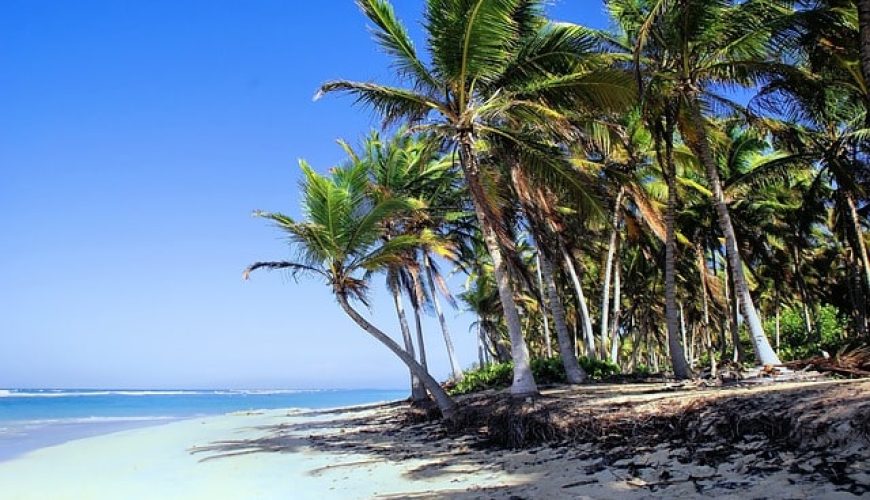 New York to Punta Cana, Dominican Republic: Travel Guides that will Come Handy