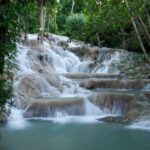 dunn's river