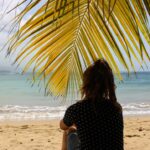 Top Attractions in Martinique