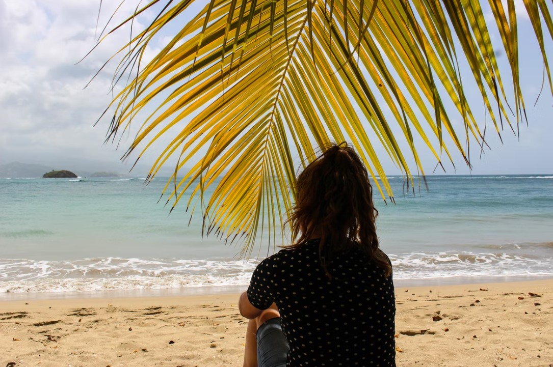 Top Attractions in Martinique
