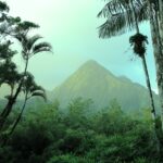 best beaches in martinique