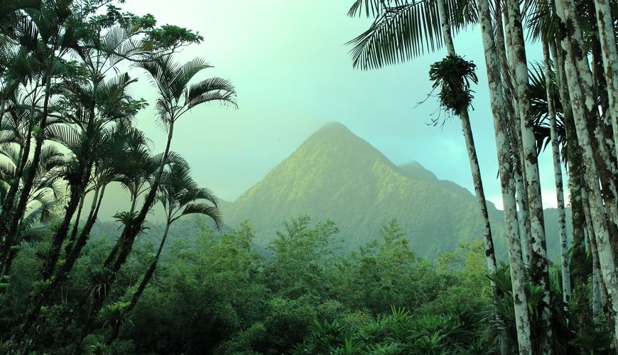 The 10 Surreal Beaches in Martinique