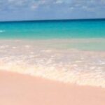 pink sand beaches in the world