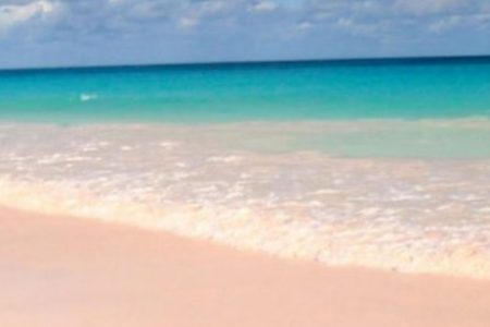 Top 5 Pink Sand Beaches in the World