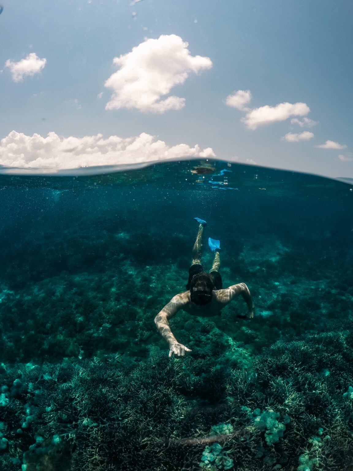 Top 10 Snorkeling Resorts in Caribbean Islands 2022- Part 4
