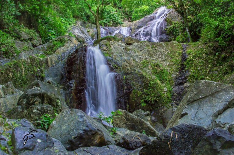 Caribbean Waterfall and Rainforest