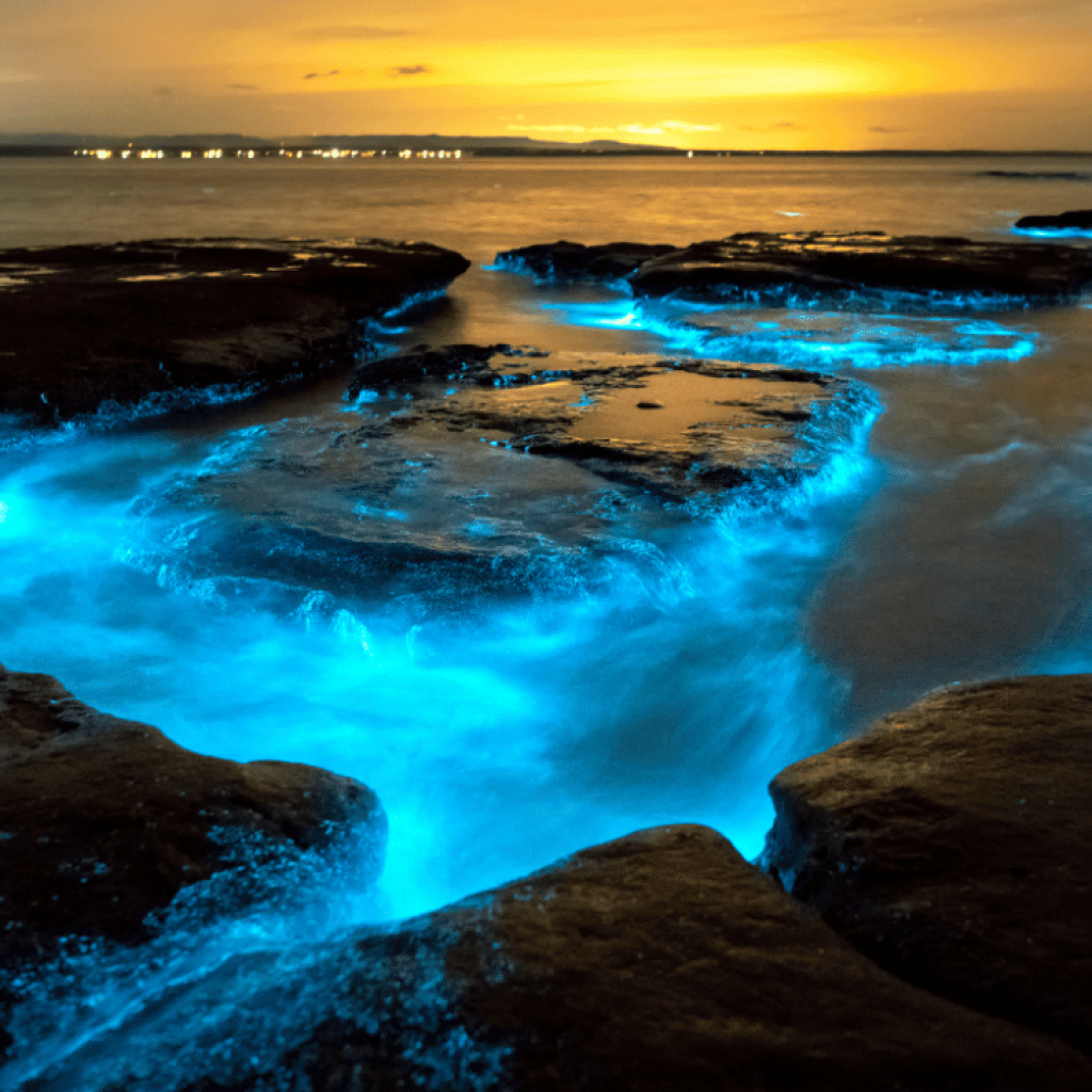 Bioluminescent Bay_ An Enchanted Night Kayak