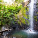 El Yunque National Forest_ Rainforest Adventure