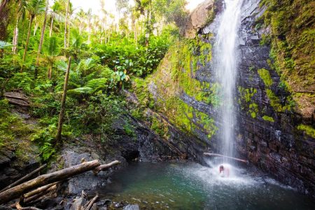 El Yunque National Forest_ Rainforest Adventure