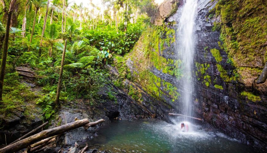 El Yunque National Forest_ Rainforest Adventure