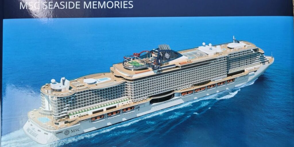MSC Cruise Ships and MSC Excursions