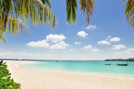 Paradise Island Tours in Jamaica