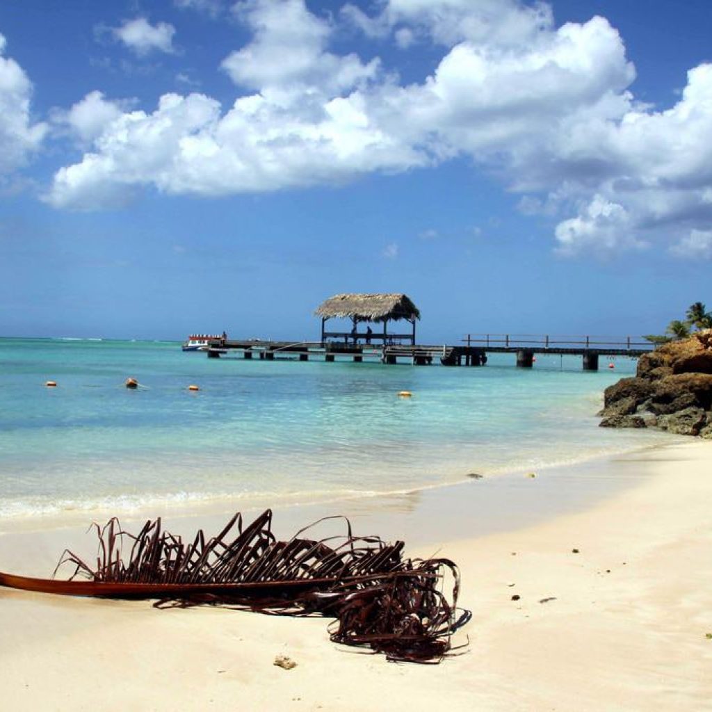 Pigeon-Point-Beach.jpg