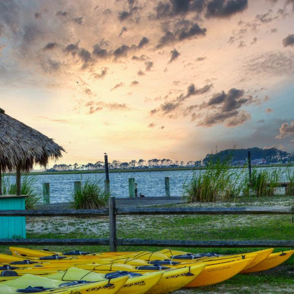 Rincon_ Surf, Sunsets, and Chilled Vibes