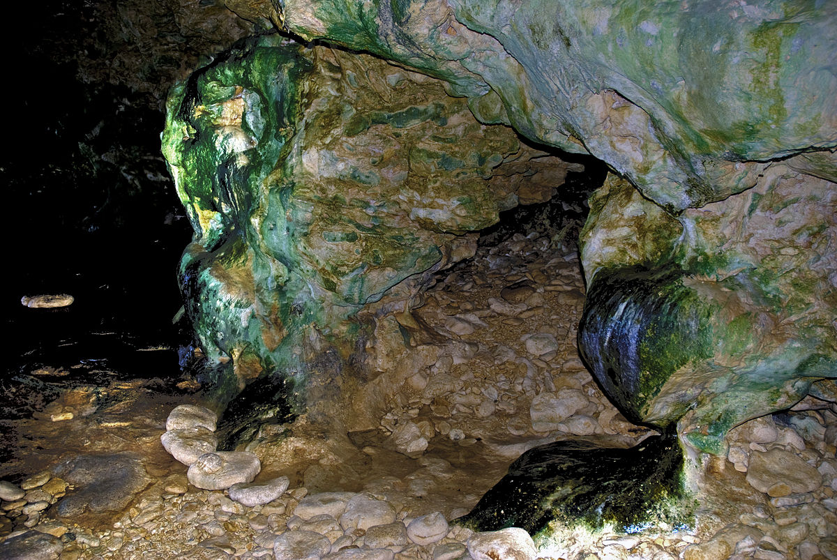 The_Animal_Flower_Cave_Barbados.jpg