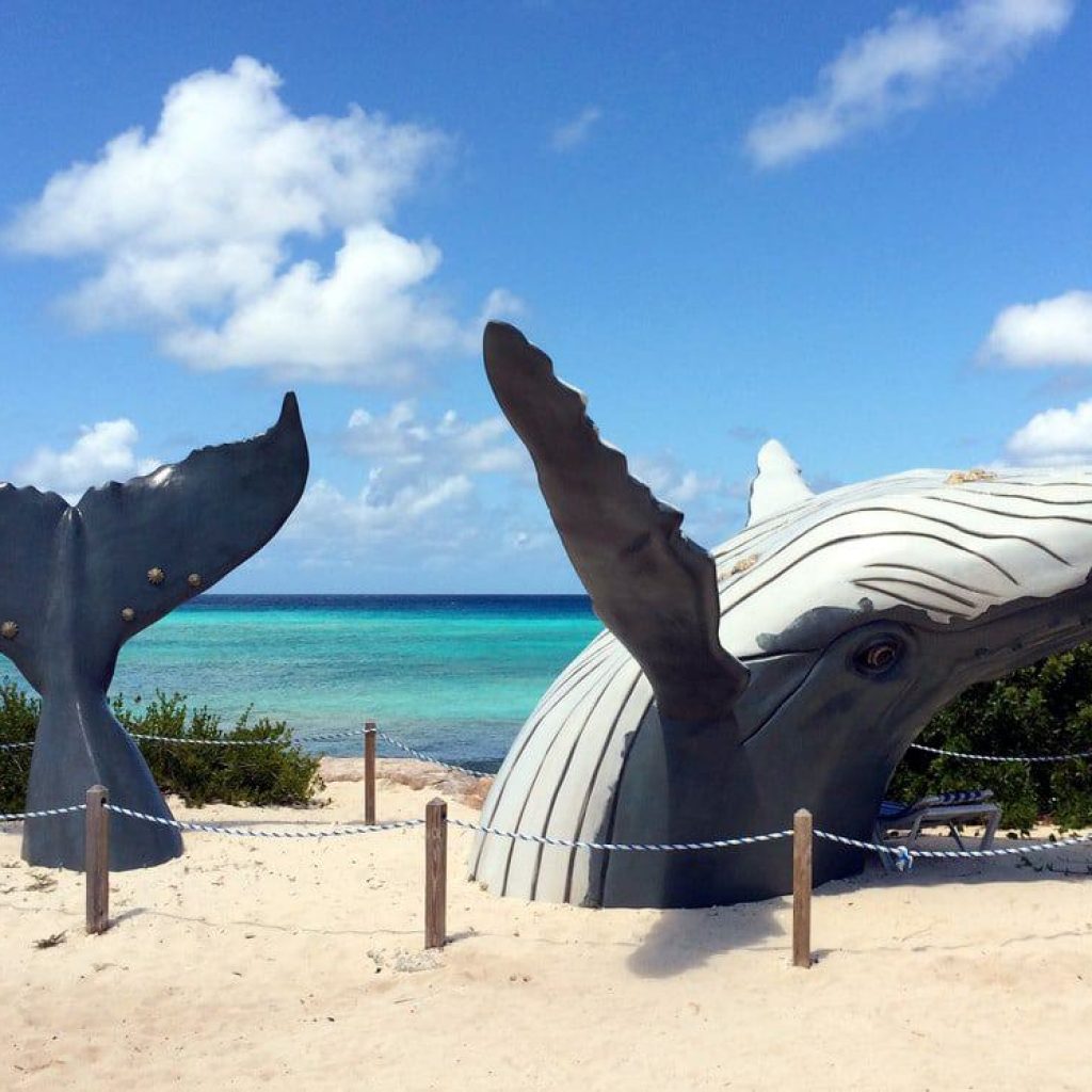 Turks-and-Caicos-Islands-Grand-Turk-Humpback-Whale-Monument.jpg