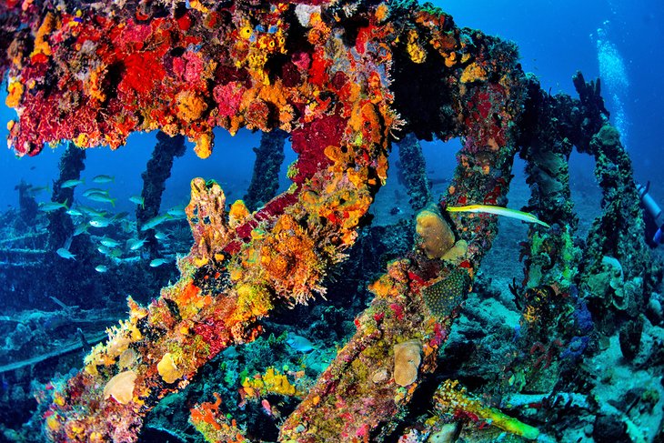 british-virgin-islands-top-attractions-rhone-national-maritime-park-rms-rhone-shipwreck-dives.jpg