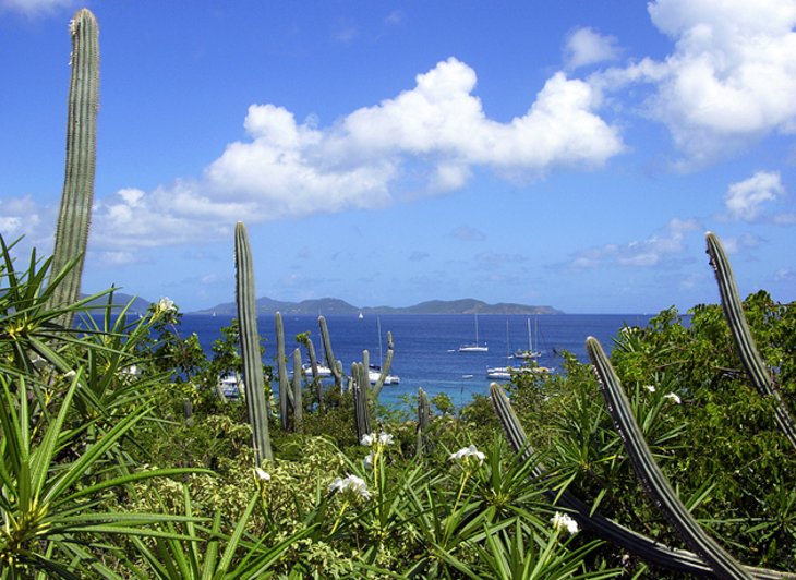 british-virgin-islands-virgin-gorda-gorda-peak-national-park.jpg