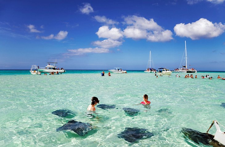 cayman-islands-stingray-city.jpg