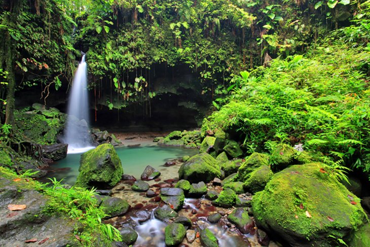 dominica-waterfall.jpg