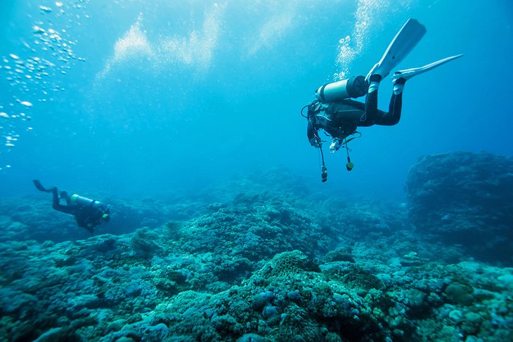 montserrat-scuba-diving.jpg