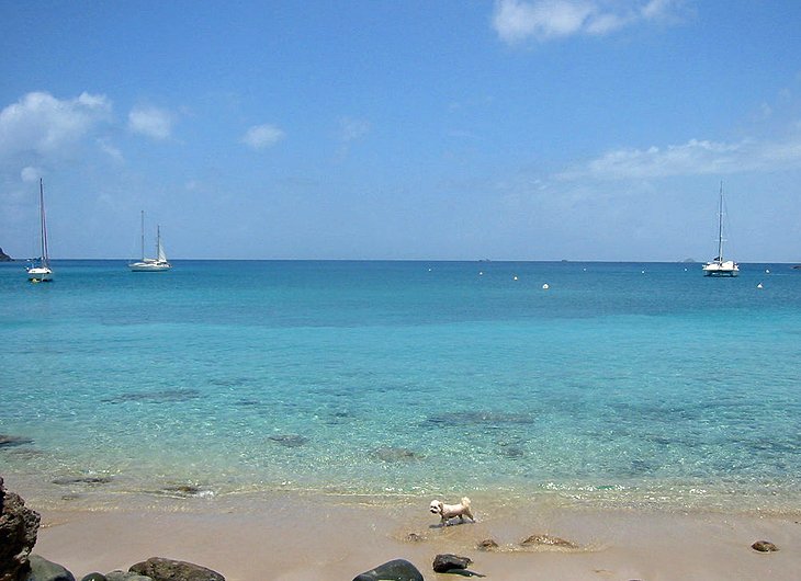 st-barts-colombier-beach.jpg