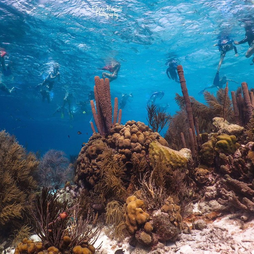 things-to-do-in-bonaire-snorkeling.jpg