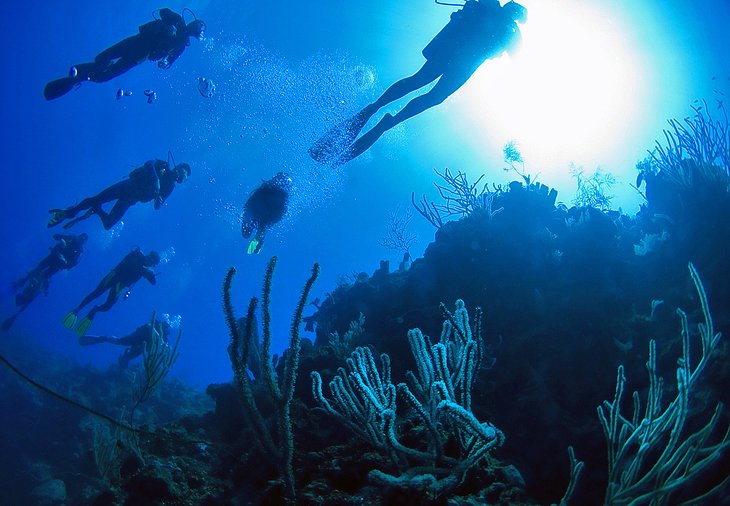 turks-and-caicos-diving.jpg