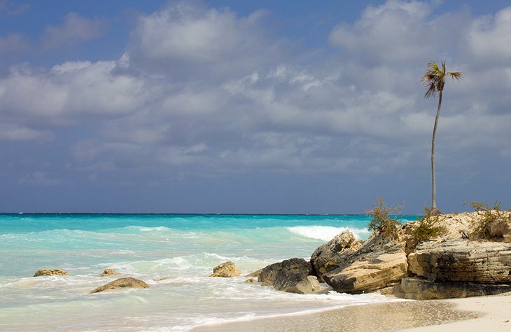 turks-and-caicos-salt-cay.jpg