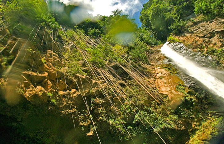 victoria-waterfall-dominica.jpg