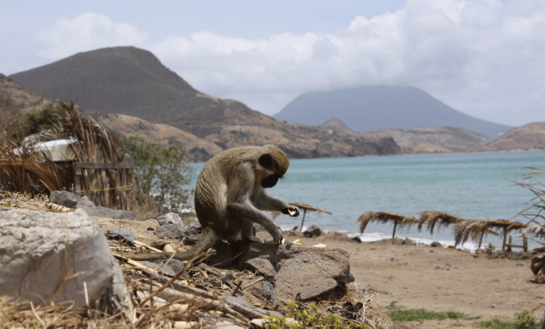 Monkey Point_ Caribbean