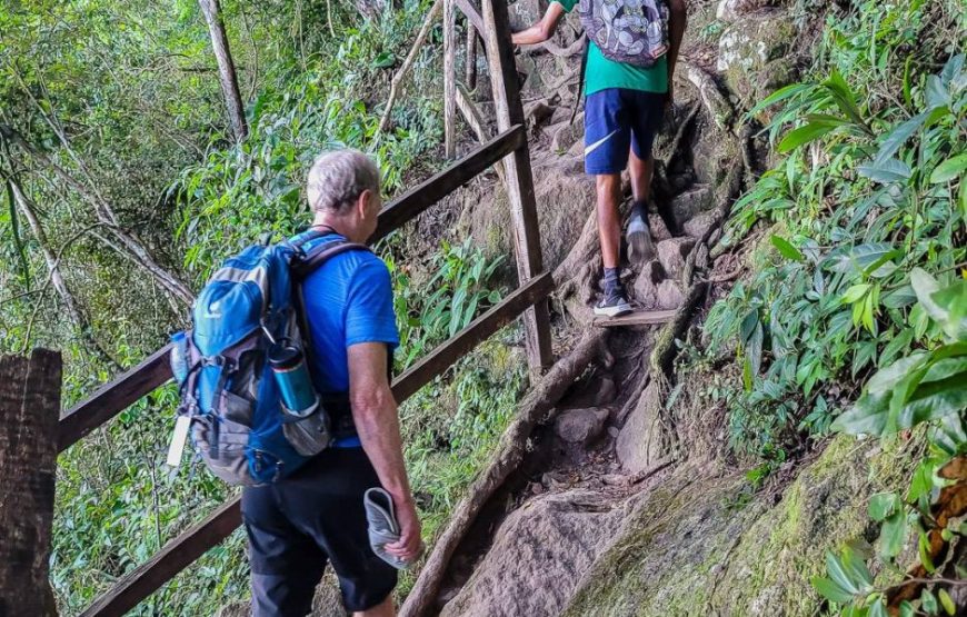 Gros Piton Nature Trail Private Hike