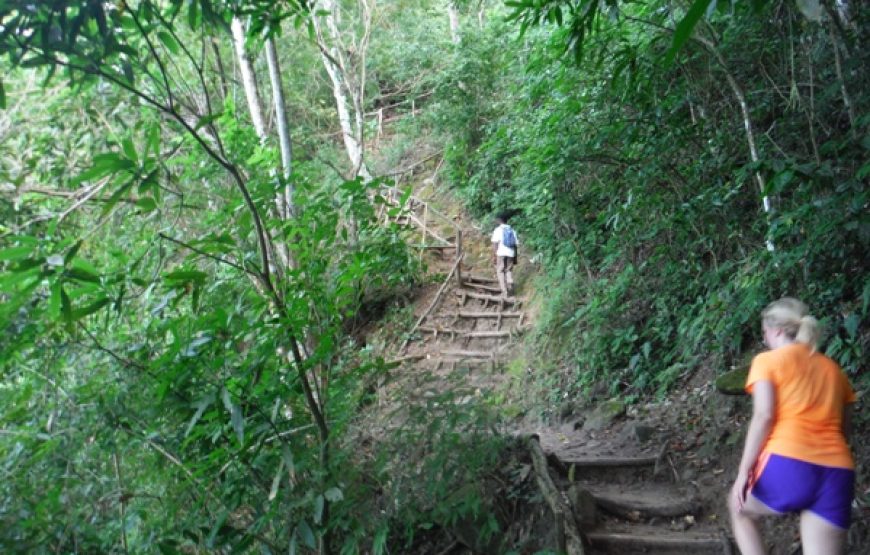 Gros Piton Nature Trail Private Hike