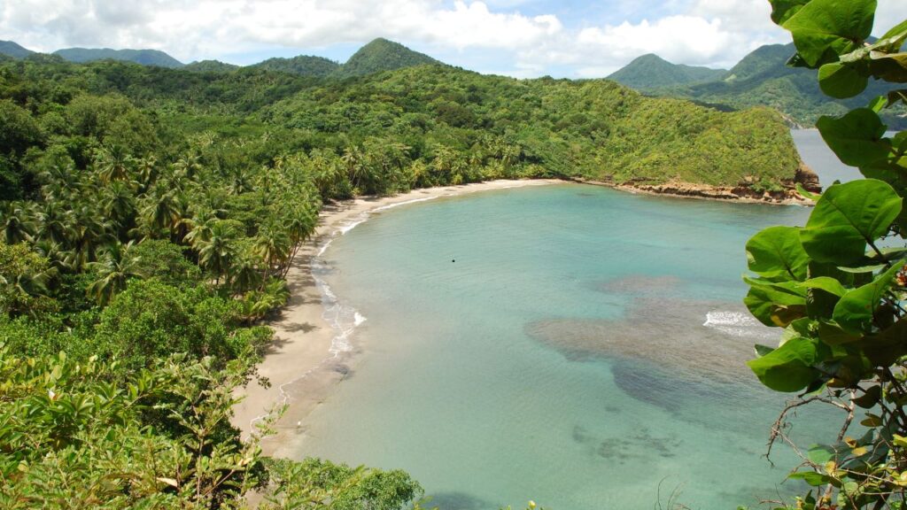 Caribbean beach 5