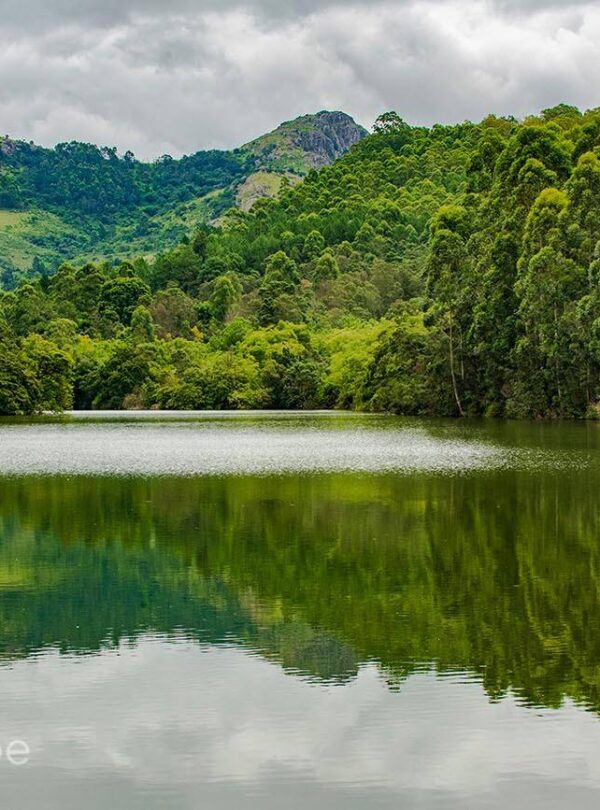 mlilwane-lago-mhlangeni-sanctuario-vida-selvagem-eswatini