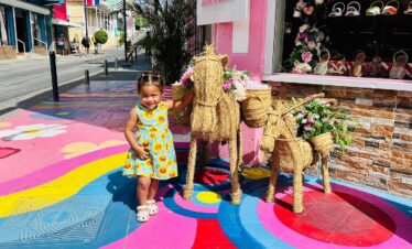 iccaribbean tour viator unique vacation