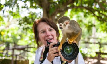 monkey-dominican-republic