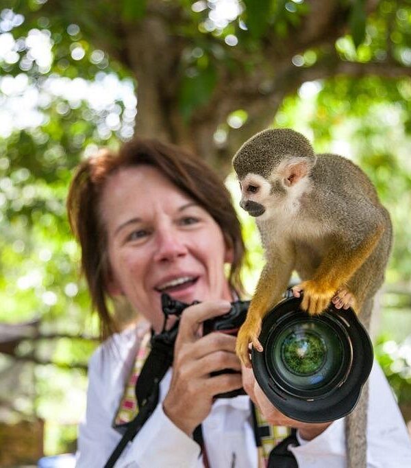 monkey-dominican-republic