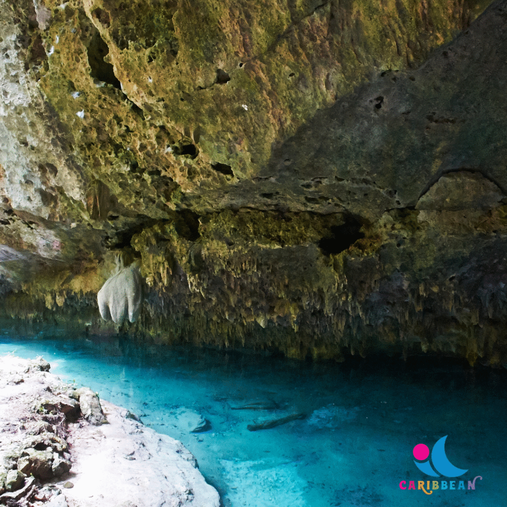 Actun Tunichil Muknal Cave Tour and Picnic