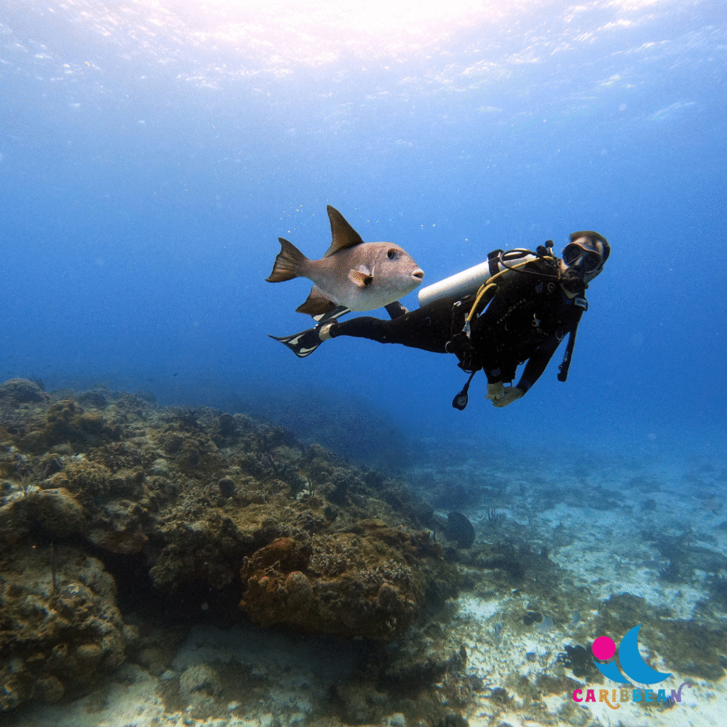Stingray City Sandbar, Coral Gardens Snorkeling & Star Fish Point