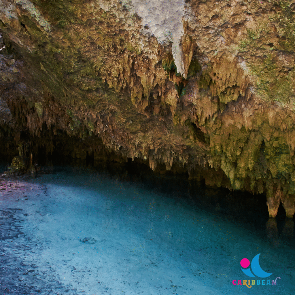 Actun Tunichil Muknal Cave Tour and Picnic