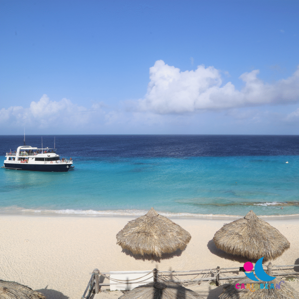 Trip Search Result 61 3 6